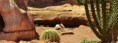 /album/nature-/dsc-0013-jpg/